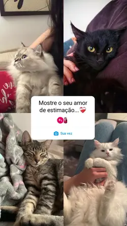 qual seu bixin?
