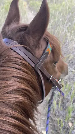 My rockstar pony 🩷