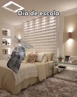 gatito rotina