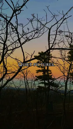 QUIET PICTURES.