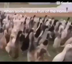 Why are you running