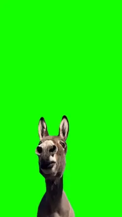 Coloque a foto kkkk