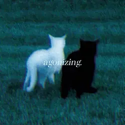 Liminal Template