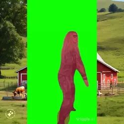 green screen