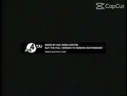 AVS4you effects