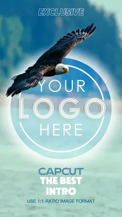 EAGLE INTRO