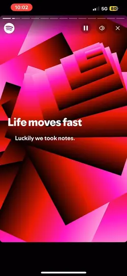 SPOTIFY WRAPPED