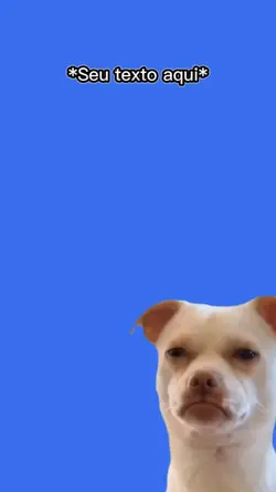 Cachorro bolado 