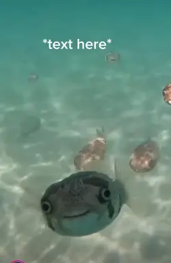 Happy fish