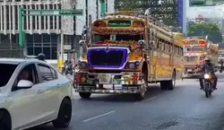 Bus De GTM