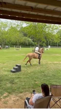 Horse fall!!