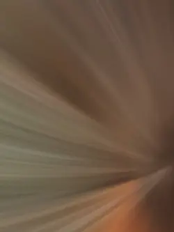 Double Lif