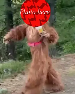 Dancing meme 