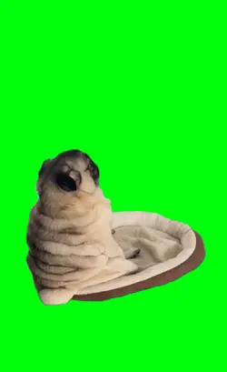 pug life