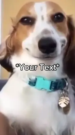 Smirking Doge