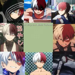 pov they love Shoto 