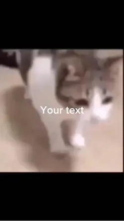 Chacha really smooth
