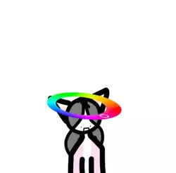 rainbow halo trend!