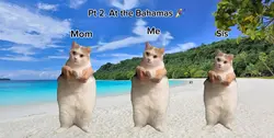 PT 2 REPOST