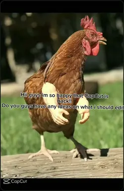Hii