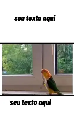 seu texto aqui 