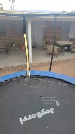 working on my form