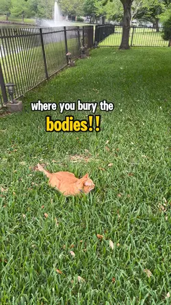 The grass is greener