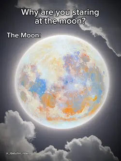 The Moon