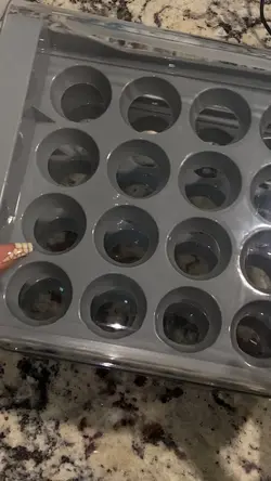 Egg Organizer ASM