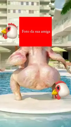 Sua amiga galinha 🐔