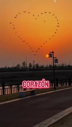 así como lo pedí 💘 