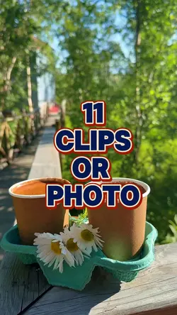 11 clips or photo