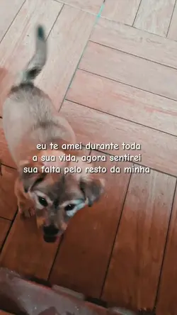saudade 