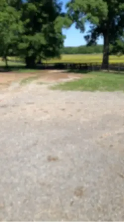 Barn Vlog!!