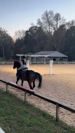 Transition?!?