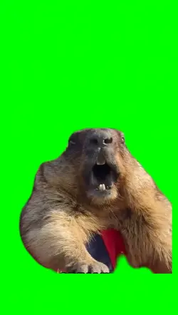 Groundhog Scream