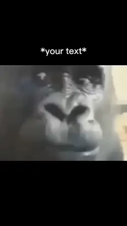 Shocked gorilla