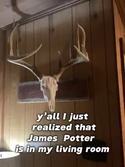 🦌🦌🦌