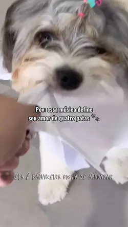 Amizade Animal 🐾