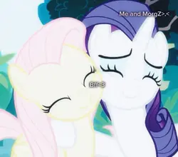Flutter-shy & Rarity
