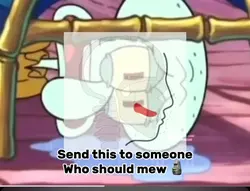 Squidward Mew 🗿