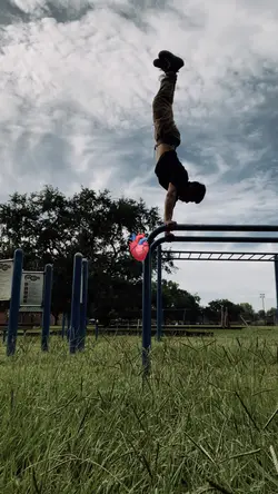 Calisthenics templa