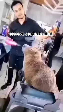 Capivara
