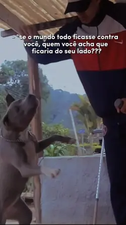 cachorro 