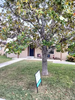 OPEN HOUSE 
