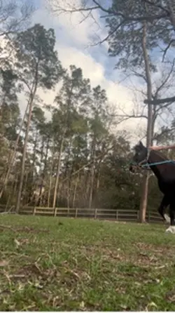 Such a good pony