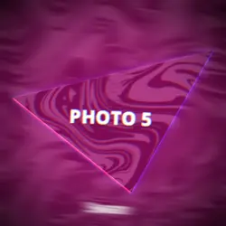 Phonk