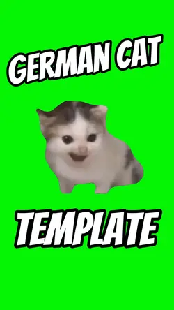 German Cat