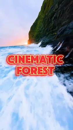 ClNEMATlC FOREST 