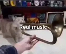 Cat playing trumpet 